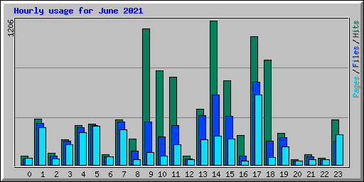 Hourly usage for June 2021