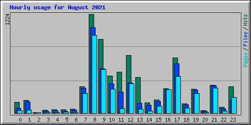 Hourly usage for August 2021