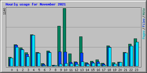 Hourly usage for November 2021