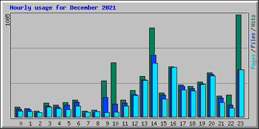 Hourly usage for December 2021