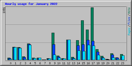 Hourly usage for January 2022