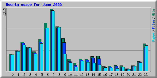 Hourly usage for June 2022