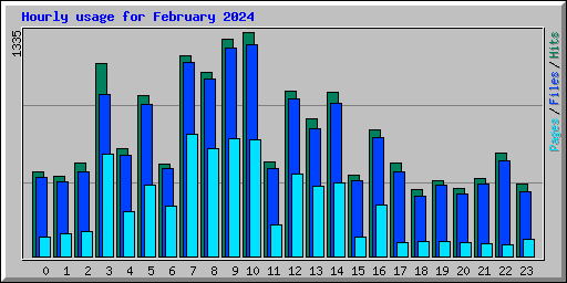Hourly usage for February 2024