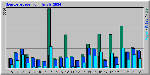 Hourly usage for March 2024