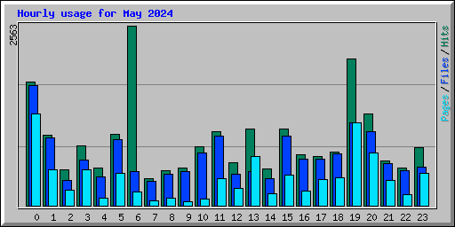 Hourly usage for May 2024