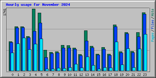 Hourly usage for November 2024