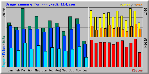 Usage summary for www.medir114.com